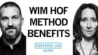 Benefits of Wim Hof Method amp Tummo Breathing  Dr Elissa Epel amp Dr Andrew Huberman [upl. by Anallij846]