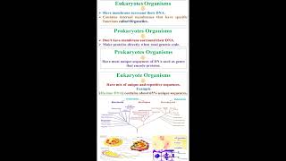 Prokaryotes and Eukaryotes Organisms geneticteacher [upl. by Elga394]