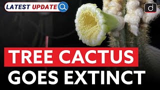 Tree Cactus Goes Extinct  Florida  Sea Level Rise  Latest Update  Drishti IAS English [upl. by Ailev]