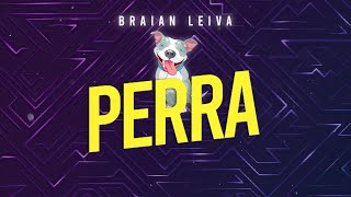 PERRA Remix  J Balvin Tokischa  Braian Leiva [upl. by Riatsila]