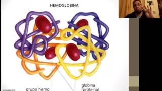 Química Biológica  Hemoglobina [upl. by Linneman56]