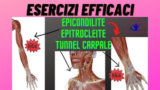 10 ESERCIZI EFFICACI PER TENDINITI E TUNNEL CARPALE [upl. by Tommi771]