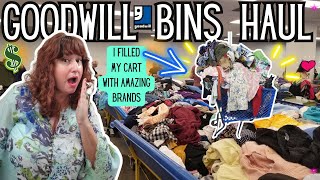 Overflowing Cart Of The Best Selling Brands  GOODWILL OUTLET BINS Thrift HAUL TO RESELL on Ebay [upl. by Erbas]