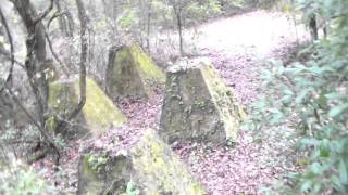 Holder Mine Mining Equipment Foundation Remains Withlacoochee State Forest [upl. by Arondel426]