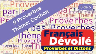 Proverbes  Cochon 3 de 5 [upl. by Haman]