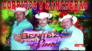 Los Benites de la Sierra  Sus Mejores Canciones  Corridos y Rancheras  Mix Para Pistear [upl. by Fraya]