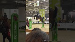 😍fieracavalli video mio [upl. by Pascia336]