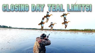 EARLY TEAL PUBLIC LAND DUCK HUNTING LIMITS [upl. by Siletotsira]