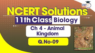 NCERT Solutions Class 11 Biology Chapter 4 Question No 9  Animal Kingdom [upl. by Bohs894]