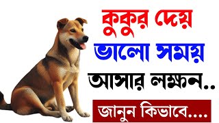 কুকুরের শুভ সংকেত  Kukurer Shubh Sanket  Good Sing Of Dogs  Vastu sastro  Bageshwar Dham [upl. by Griswold]