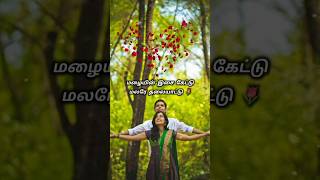 🌷Vinmeen vidhaiyil 🌷  Thegidi 🎥  Nivas K Prasanna  shortssong  songlyrics [upl. by Ballinger]