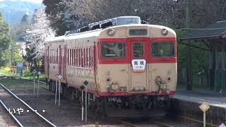 【いすみ鉄道】大多喜駅で新旧気動車の交換をのんびり眺める [upl. by Enogitna]