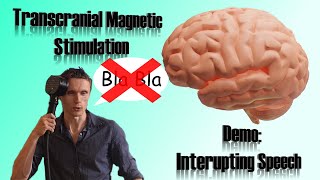 Disrupting Speech with Transcranial Magnetic Stimulation TMS [upl. by Enoch]