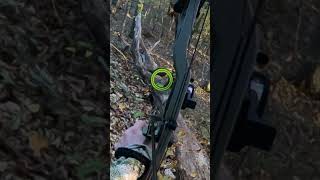 This shot was CRAZY Whitetail from the ground Full video linked shorts bowhunting archery [upl. by Berkow]