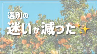 生産者に聞いてみた！Rakuda使ってみてどう？part3 [upl. by Eelta]