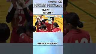 春高バレー🏐 県予選女子 春高 バレー 新潟県 予選 [upl. by Tyson158]