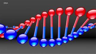 Forensic Science  41 DNA Introduction [upl. by Kemp143]