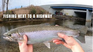 Sight fly fishing for urban Lake Erie Steelhead on the Chagrin River Ohio [upl. by Sidonie370]