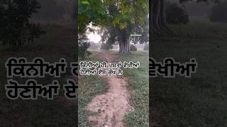 kuldeepmanak kuldeepmanakallsongs villagelife viralshort [upl. by Atekin884]