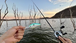 Pescando Lobinas en la Sierra de Sinaloa  Presa “El Salto” [upl. by Lyret]