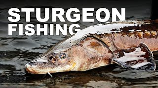 Fishing Wolf Creek Dam  Sturgeon Caught [upl. by Ahsineg]