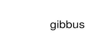 How to pronounce gibbus [upl. by Hasseman]