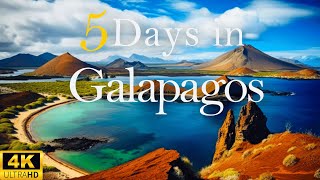 How to Spend 5 Days in GALAPAGOS Islands Ecuador [upl. by Tigdirb223]