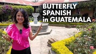 Explore Guatemala with Butterfly Spanish [upl. by Madella]