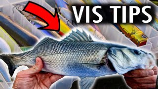 HOW TO  ZEEBAARS VANGEN🎣 handige vistips [upl. by Fasto]