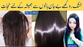 Dry Damaged Hair Treatment  Frizzy Hair Remedies  Rukhe Aur Bejan Balon Ka Fori Ilaj [upl. by Perceval]