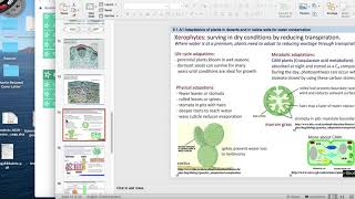 91 Water Conservation in Xerophytes and Halophytes [upl. by Eusadnilem]