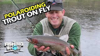 SIGHT CAST FLY FISHING Polaroiding Trout on Fly [upl. by Llenad]