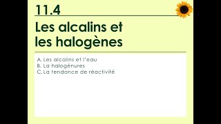 114  Les alcalins et les halogènes [upl. by Schuyler]