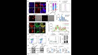 PLGARhodamine from PolySciTech used in development of nanoparticles for Alzheimer treatment [upl. by Felita]