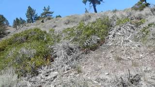 Kings Canyon Nevada  Part 12 quotTales Of Washoe Lakequot [upl. by Hescock]