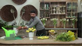 How to Create a Lemon Floral Arrangement [upl. by Nofpets]