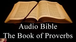 The Book of Proverbs  NIV Audio Holy Bible  High Quality and Best Speed  Book 20 [upl. by Deehahs]