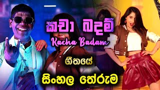 ජනප්‍රියම කචාබදම් ගීතයේ සිංහල තේරුම  Sinhala Kacha Badam Song  kacha badam tiktok hot dance 2024 [upl. by Demahom819]