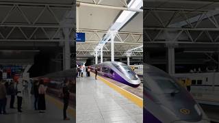 Hefei south railway station 🚉 Have you ever taken the purple Fuxing high speed rail🚅💙📸🇨🇳 [upl. by Ydderf]