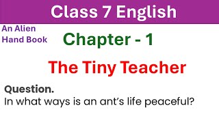 In what ways is an ants life peaceful Class 7 English  The Tiny Teacher [upl. by Sucramal]