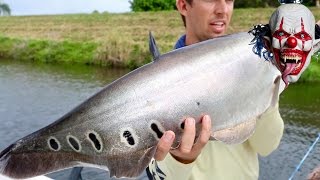 Fishing for the RAREST Freshwater Fish in the States ft BlacktipH amp Scott Martin [upl. by Edahs]