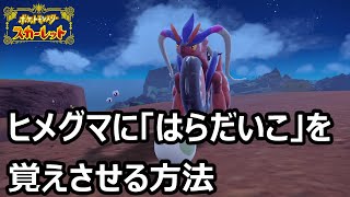 【ポケモンSV】リングマに「はらだいこ」を覚えさせる方法デリバードイベントに最適 [upl. by Imoin]