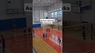 Autowa zagrywka młodziczki reprezentacjapolski mksdąbrowagórnicza plusliga shorts siatkówka [upl. by Airal65]