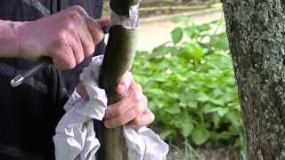 Comment dépouiller une anguille  How to strip an eel [upl. by Walston]