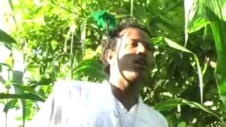 Taju Shurube  Shaggooyyee Oromo Music [upl. by Ahsiaa199]