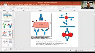 Antibody Structure Class switching Principle [upl. by Gui]