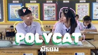 POLYCATมัธยม  MV เพื่อการศึกษา [upl. by Leemaj]