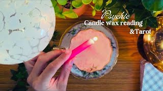 C A P R I C O R N 🕊️ current connection energy check Psychic candle wax amp tarot [upl. by Teerpnam]