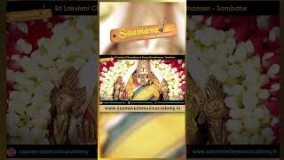 Annamayya Sankeerthanalu  Pellipaatalu annamayyakeerthana annamayya devotional [upl. by Ecirtnuahs]