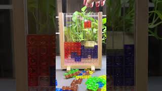 Immersive unboxing of Tetris building block puzzle toys is really relaxing puzzle tetris toys [upl. by Darnall]